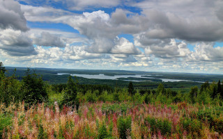 Lake forest hilltop clouds panorama - bruno liljefors free wallpaper