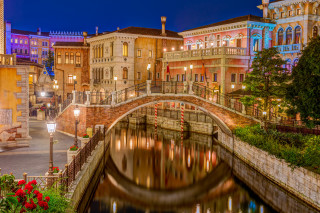 Bridge city night lights flowers - disney free wallpaper