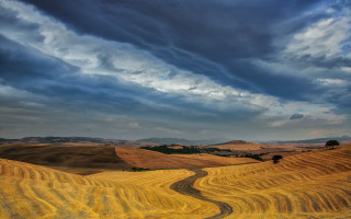 Dirt road field cloudy sky 5 - a field under a cloudy sky free wallpaper