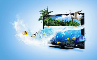 Tropical scene tv bird wave - a television screen free wallpaper