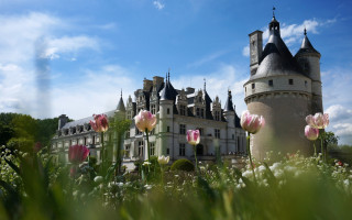 Castle tower flowers blue sky - flavia bloi free wallpaper