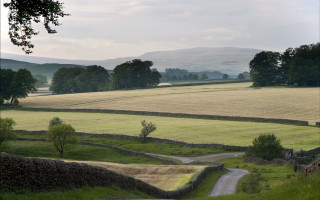 Dirt road lush green countryside 2 - a stone wall free wallpaper