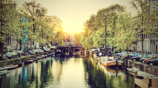 River bridge trees cityscape sunset - a few building free wallpaper