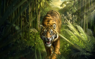 Tiger jungle palm trees detailed - a tiger free wallpaper