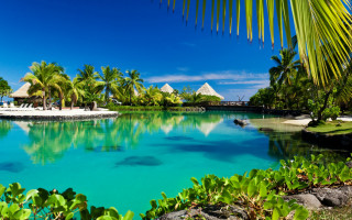 Pool palm trees beach blue - blue water free wallpaper