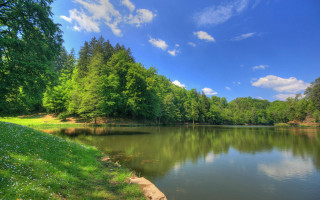 Lake trees grass clouds whiteflowers - a few white flower free wallpaper