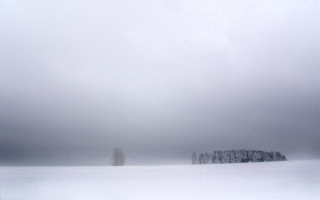 Snowy field trees cloudy sky 2 - a snowy field free wallpaper