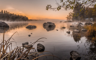 Lake rocks water fog trees - rock and water free wallpaper