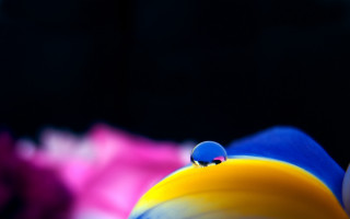 Colorful object water drop macro - a black background and a blurry background behind free wallpaper