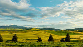 Green field trees mountains clouds - tree and mountains free wallpaper