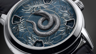 Watch snake blue leaves flowers - a black strap free wallpaper