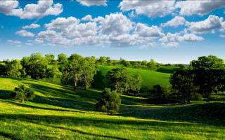 Green field trees clouds blue 6 - white cloud above free wallpaper