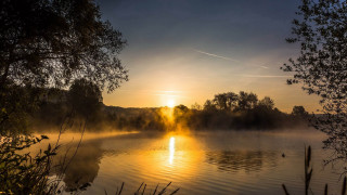 Lake sunset fog trees impasto - the water and trees free wallpaper