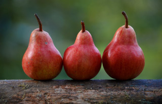 Three pears red green background - a blurry background of trees free wallpaper