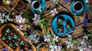 Blue plates desserts flower coffee - food photography free wallpaper