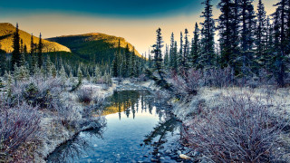 Small stream forest mountain sunset - alexander brook free wallpaper