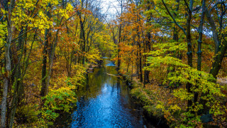 Autumn foliage river forest saturated 2 - alexander brook free wallpaper