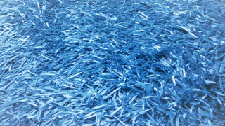 Blue surface blue objects background - an gyeon free wallpaper for desktop