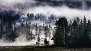 Foggy forest river clouds matte - volumetric fog free wallpaper