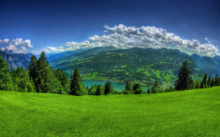 Green field trees mountains lake 4 - the background and a lake in the foreground free wallpaper