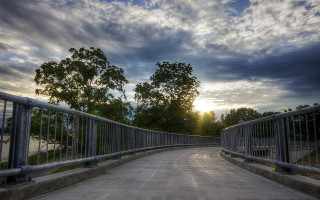 Bridge metal railing tree sunset - a metal free wallpaper