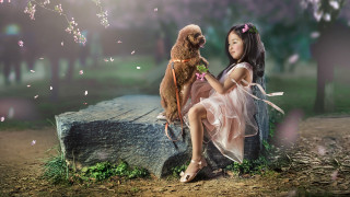 Girl dog park whimsical illustration - a bench free wallpaper