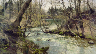 River forest birds oil painting - a few bird free wallpaper