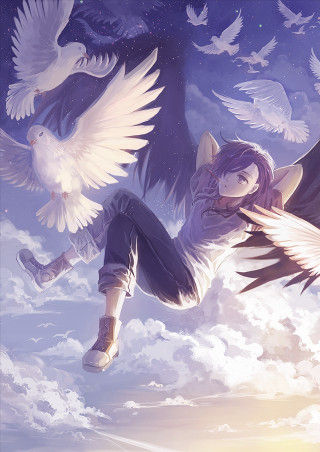 Girl flying dove air bird - the air free wallpaper