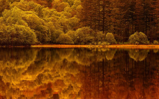 Lake trees forest autumn reflection - impressionist free wallpaper