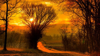 Dirt road autumn leaves sunset - a yellow light free wallpaper
