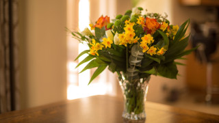 Vase flowers window curtain stilllife - claire dalby free wallpaper