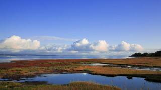 Lake hill sky clouds beach - grass free wallpaper