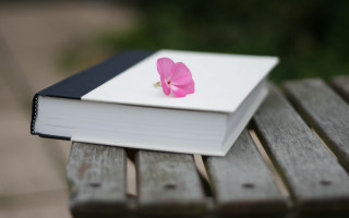 Book pinkflower bench sunny blurry - a book free wallpaper