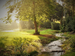 Lush forest stream bench autumn - a stream free wallpaper