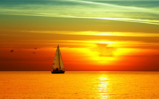 Sailboat sunset ocean birds matte - sunset free wallpaper