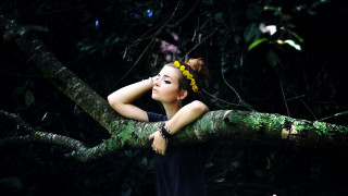 Woman sitting tree branch nature - aramenta dianthe vail free wallpaper for desktop