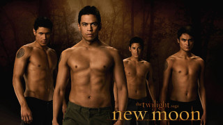 New moon group shirtless men - aaron douglas free wallpaper