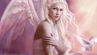 Woman dove angel wings pink - digital painting free wallpaper