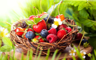 Berry flower ecological food background - arcimboldo free wallpaper