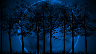 Full moon night gothic bamboo - the night sky free wallpaper