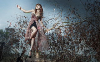 Woman dress tree branch bird - a woman in a dress free wallpaper