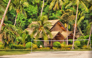 Beach volleyball court palm trees - art free wallpaper for desktop