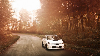 White car autumn forest cityscape - andrew bell free wallpaper