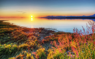 Sunset lake bird flowers autumn - a sunset over a lake free wallpaper