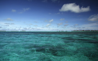 Lake sky island trees beach - a small island in the distance free wallpaper