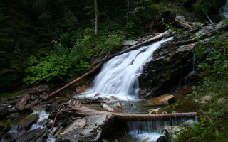 Waterfall forest fallen branch rocks 2 - impressionist free wallpaper