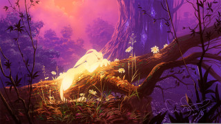 Woman forest fire autumn magic - a painting of a woman free wallpaper