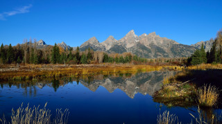 Mountain lake reflection trees grass 5 - tree and grass free wallpaper