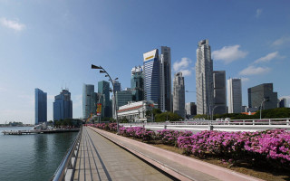 City skyline river bridge flower - a boat in the background free wallpaper