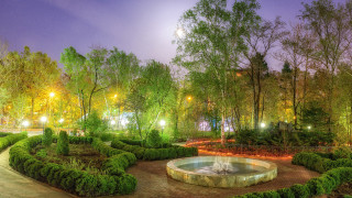 Garden fountain lit trees bushes - a fountain free wallpaper